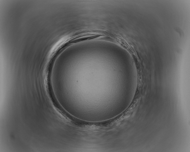 X0000114700197200910211259