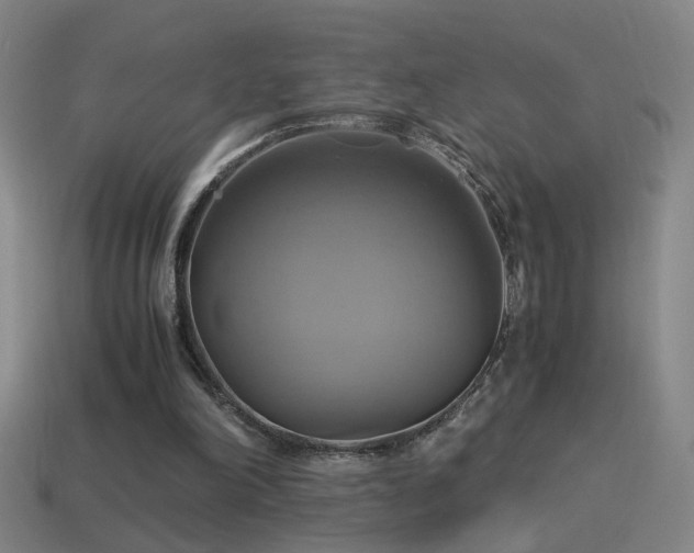 X0000114700198200910211259