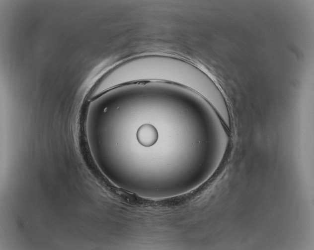 X0000114700199200910211259