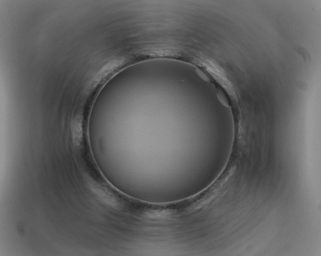 X0000114700202200910211259