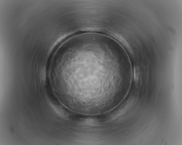 X0000114700204200910211259