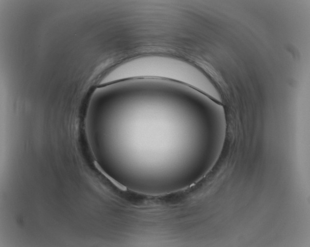 X0000114700207200910211259