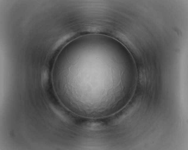 X0000114700208200910211259