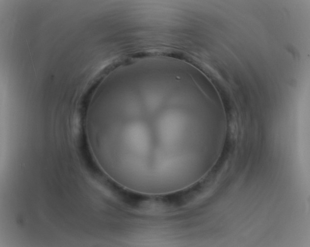 X0000114700211200910211259