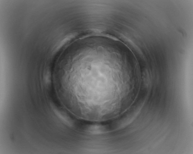 X0000114700212200910211259