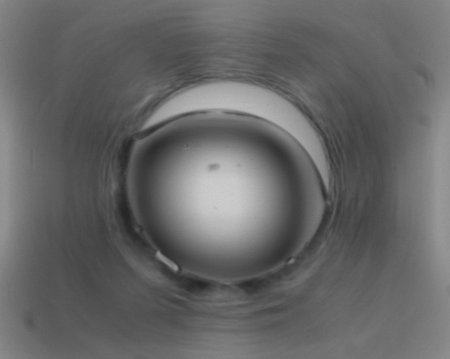 X0000114700215200910211258