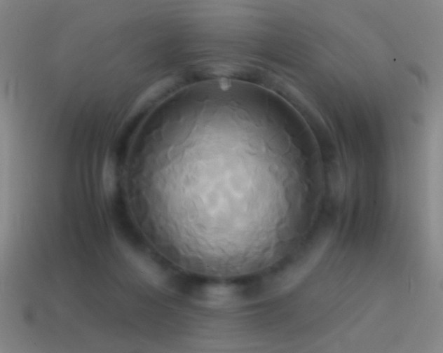 X0000114700216200910211258