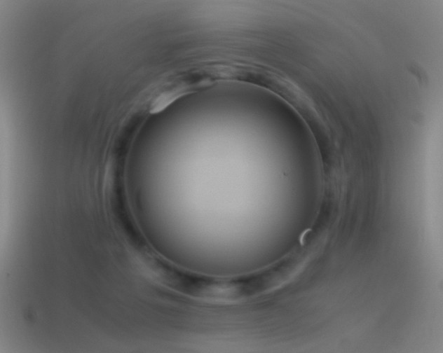 X0000114700217200910211258