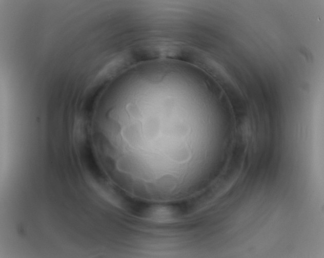 X0000114700218200910211258