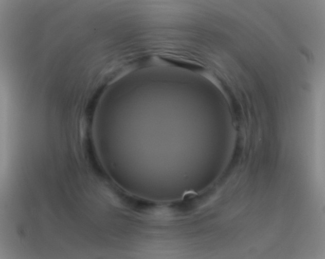 X0000114700219200910211258