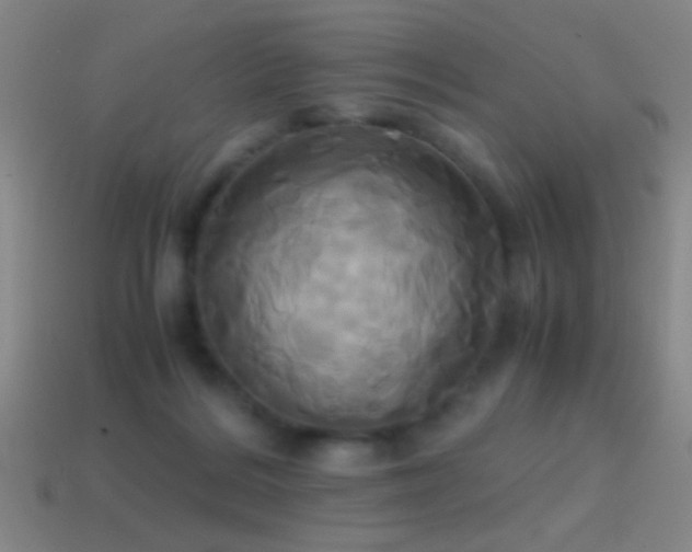 X0000114700220200910211258