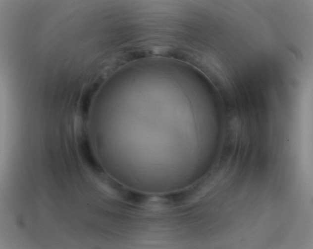 X0000114700222200910211258