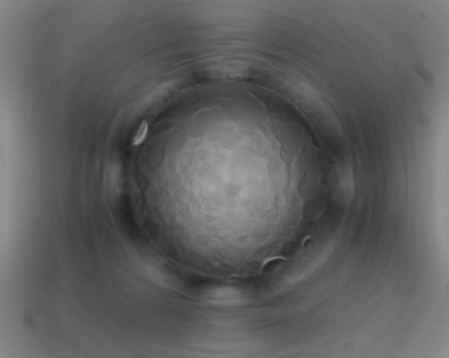 X0000114700224200910211258