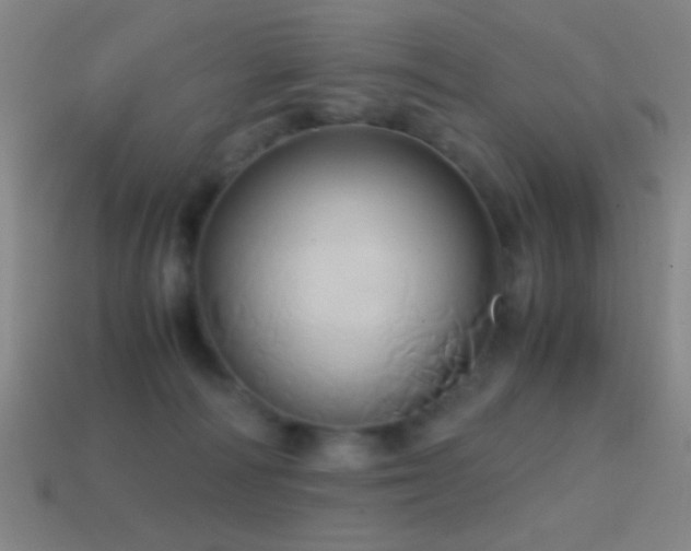 X0000114700226200910211258