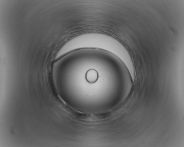 X0000114700229200910211258