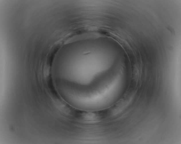 X0000114700230200910211258