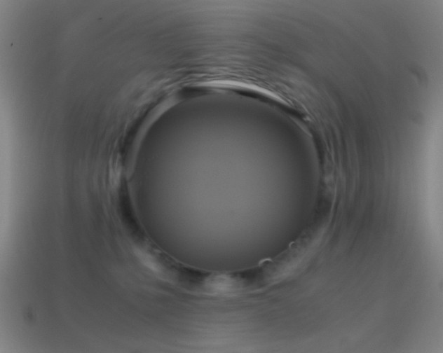 X0000114700231200910211258