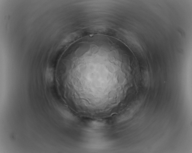 X0000114700232200910211258