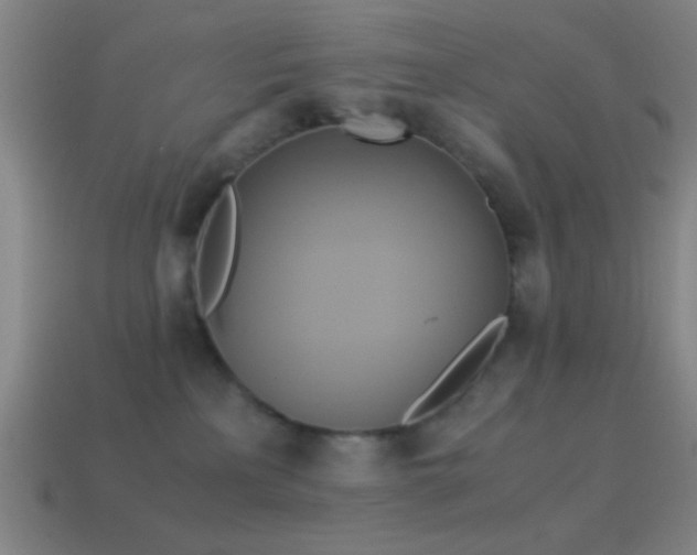 X0000114700233200910211258