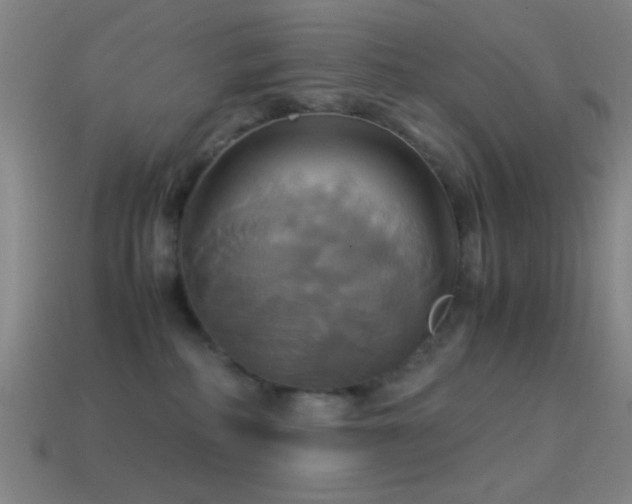 X0000114700234200910211258