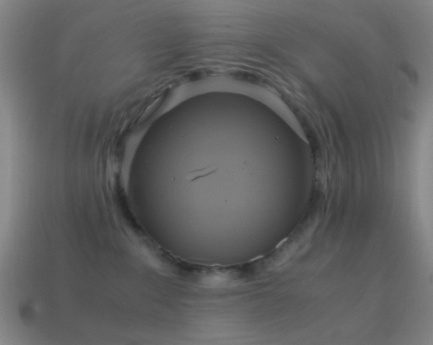 X0000114700235200910211258