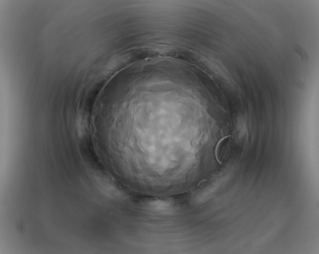 X0000114700236200910211258