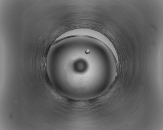 X0000114700237200910211258