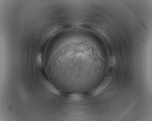 X0000114700238200910211258