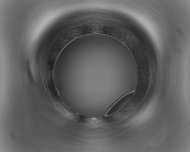 X0000114700239200910211258