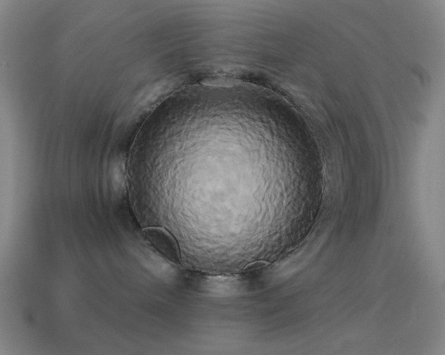 X0000114700240200910211258