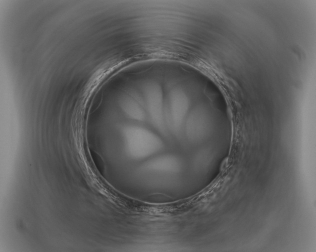 X0000114700241200910211258