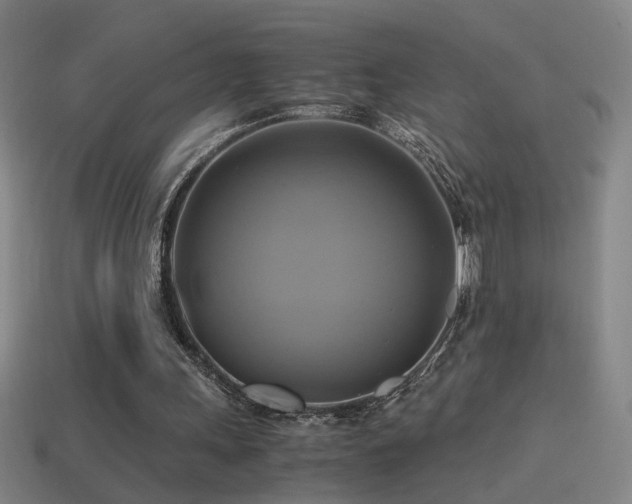 X0000114700243200910211258