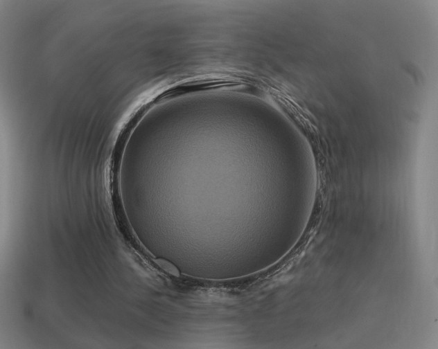 X0000114700244200910211258