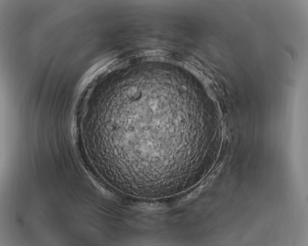 X0000114700245200910211258