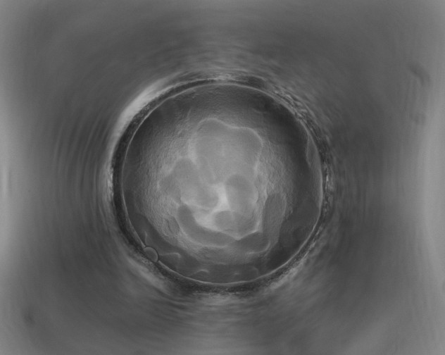 X0000114700246200910211258