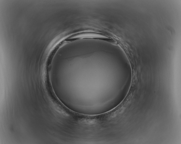 X0000114700247200910211258