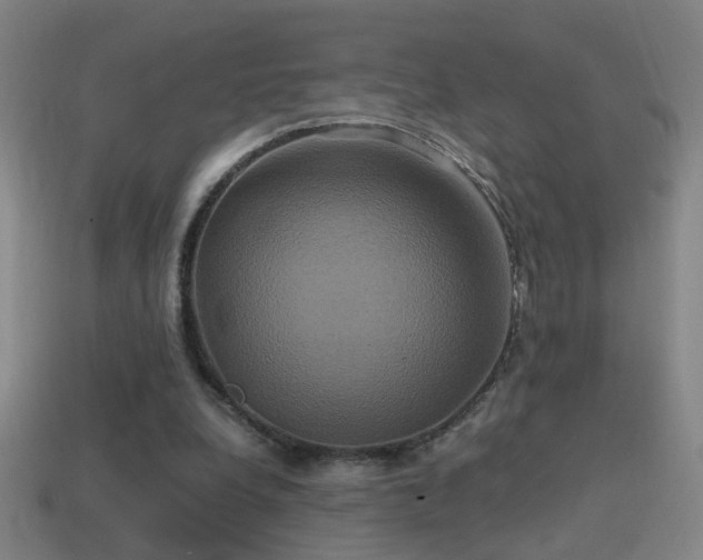 X0000114700248200910211258