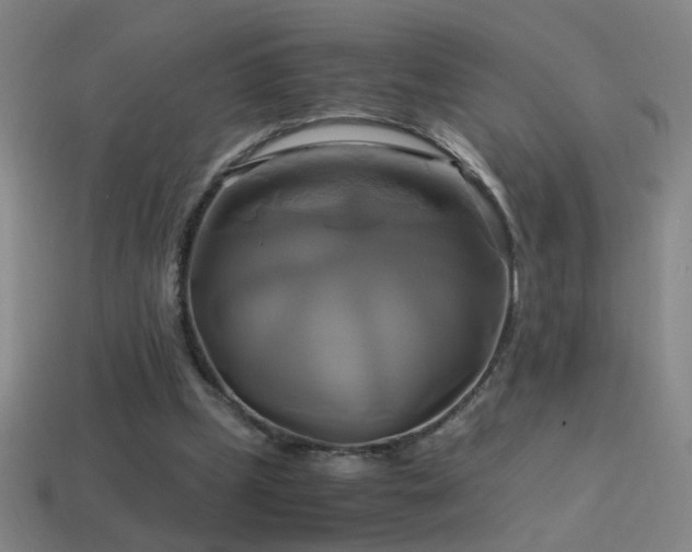 X0000114700249200910211258