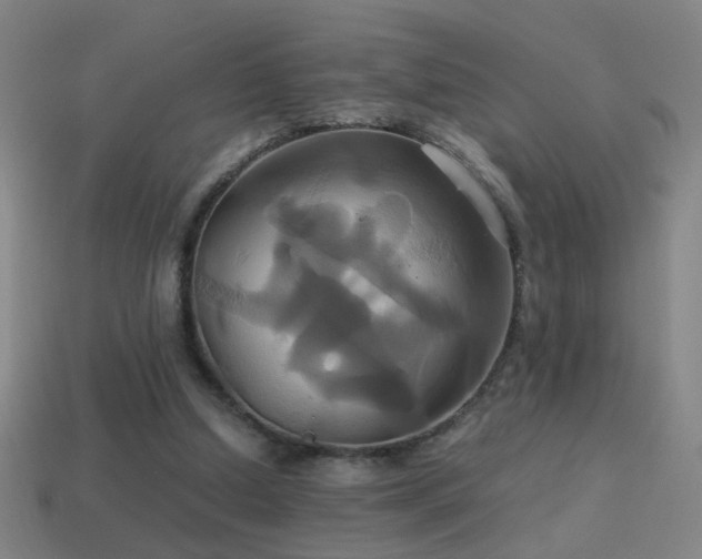 X0000114700250200910211258