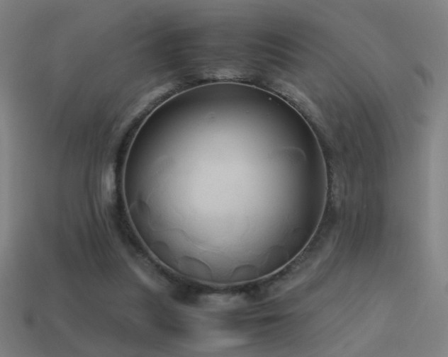 X0000114700251200910211258