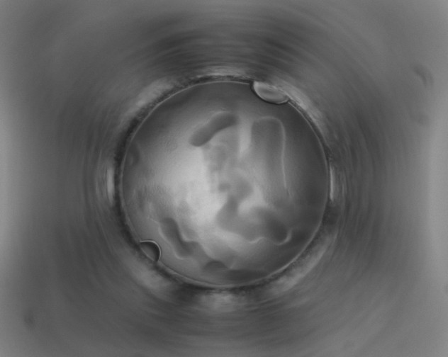 X0000114700253200910211258