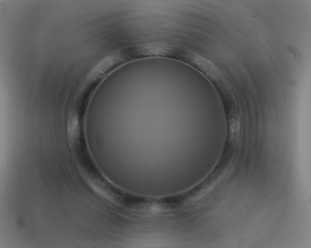 X0000114700254200910211258