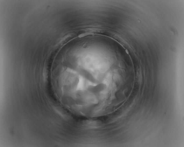 X0000114700255200910211258