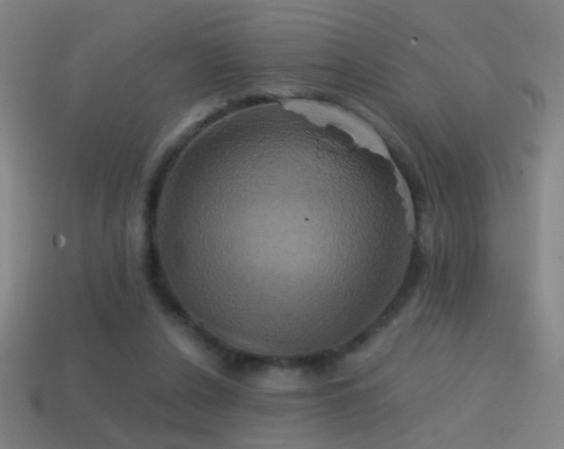 X0000114700256200910211258