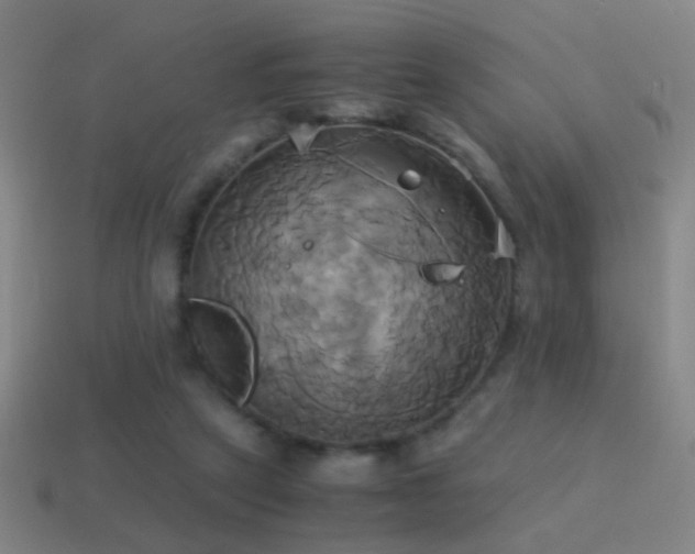 X0000114700257200910211258