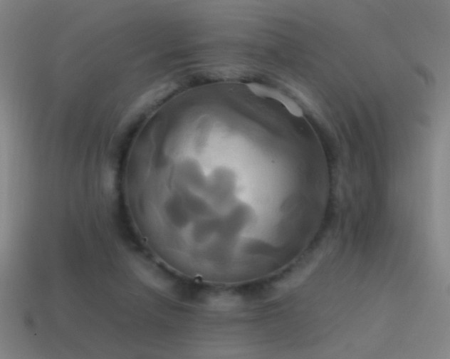 X0000114700258200910211258