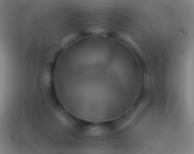 X0000114700259200910211258