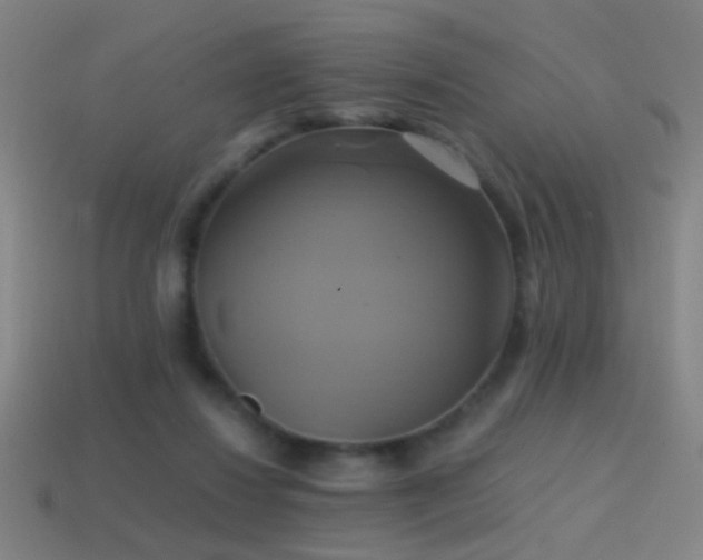 X0000114700260200910211258