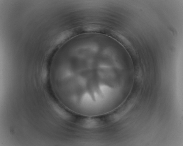 X0000114700261200910211258