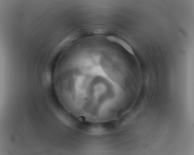 X0000114700262200910211258